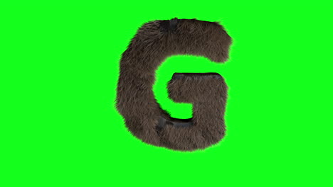 Furry-Hairy-3d-letter-g-on-green-screen